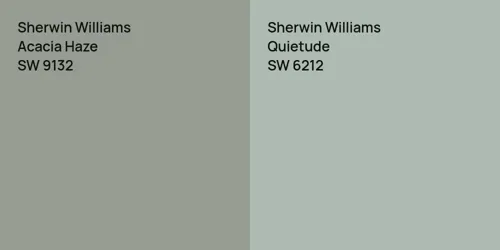 SW 9132 Acacia Haze vs SW 6212 Quietude