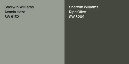 SW 9132 Acacia Haze vs SW 6209 Ripe Olive