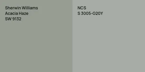 SW 9132 Acacia Haze vs S 3005-G20Y 