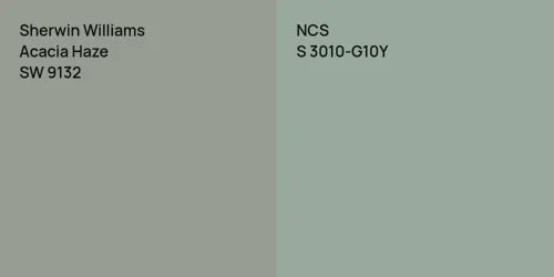 SW 9132 Acacia Haze vs S 3010-G10Y 