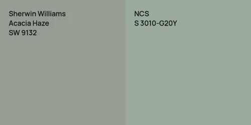 SW 9132 Acacia Haze vs S 3010-G20Y 