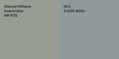 SW 9132 Acacia Haze vs S 4005-B50G 