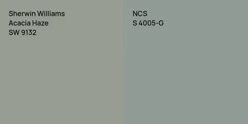 SW 9132 Acacia Haze vs S 4005-G 