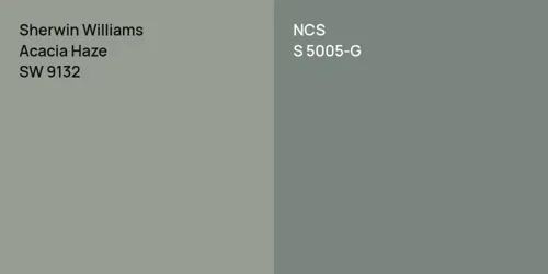 SW 9132 Acacia Haze vs S 5005-G 