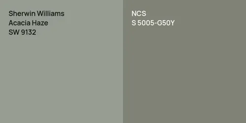 SW 9132 Acacia Haze vs S 5005-G50Y 