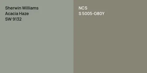 SW 9132 Acacia Haze vs S 5005-G80Y 