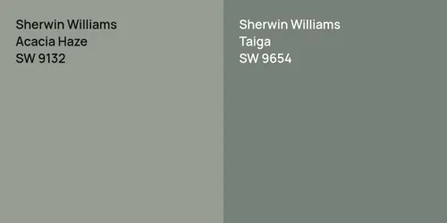 SW 9132 Acacia Haze vs SW 9654 Taiga