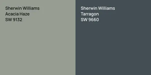 SW 9132 Acacia Haze vs SW 9660 Tarragon