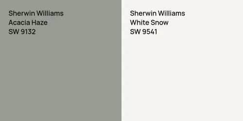 SW 9132 Acacia Haze vs SW 9541 White Snow