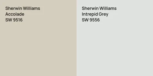 SW 9516 Accolade vs SW 9556 Intrepid Grey