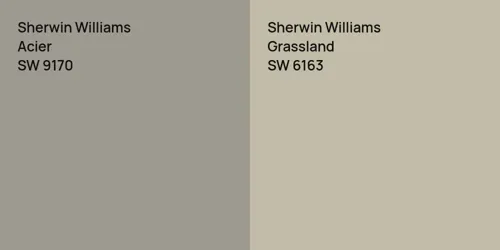 SW 9170 Acier vs SW 6163 Grassland