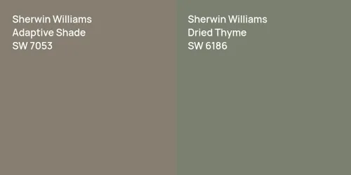 SW 7053 Adaptive Shade vs SW 6186 Dried Thyme