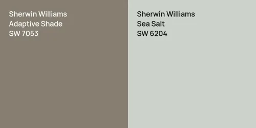 SW 7053 Adaptive Shade vs SW 6204 Sea Salt