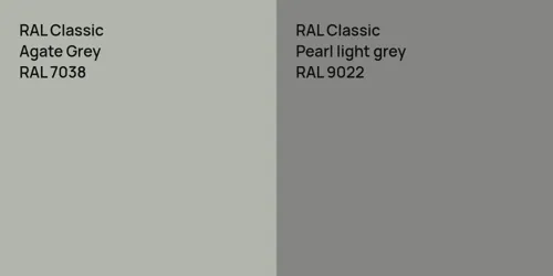 RAL 7038 Agate Grey vs RAL 9022  Pearl light grey