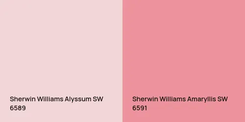 SW 6589 Alyssum vs SW 6591 Amaryllis