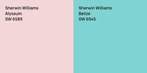 SW 6589 Alyssum vs SW 6945 Belize