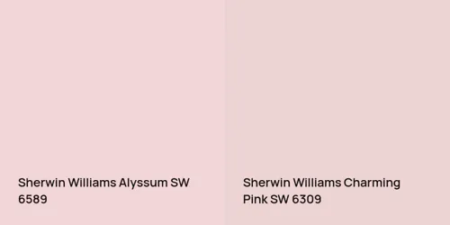 SW 6589 Alyssum vs SW 6309 Charming Pink