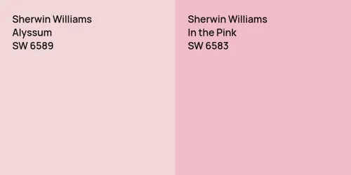 SW 6589 Alyssum vs SW 6583 In the Pink