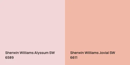 SW 6589 Alyssum vs SW 6611 Jovial