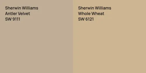 SW 9111 Antler Velvet vs SW 6121 Whole Wheat