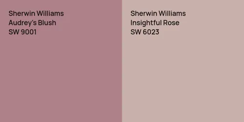 SW 9001 Audrey's Blush vs SW 6023 Insightful Rose