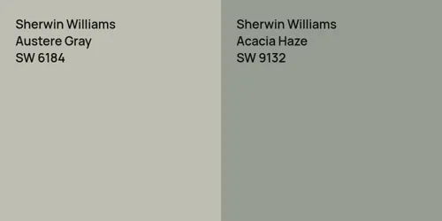 SW 6184 Austere Gray vs SW 9132 Acacia Haze