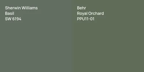 SW 6194 Basil vs PPU11-01 Royal Orchard