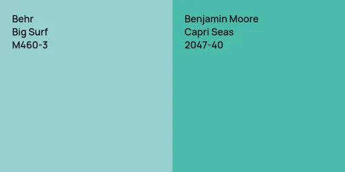 M460-3 Big Surf vs 2047-40 Capri Seas