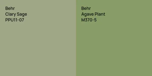 PPU11-07 Clary Sage vs M370-5 Agave Plant