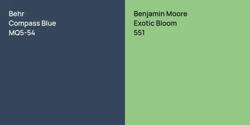 MQ5-54 Compass Blue vs 551 Exotic Bloom