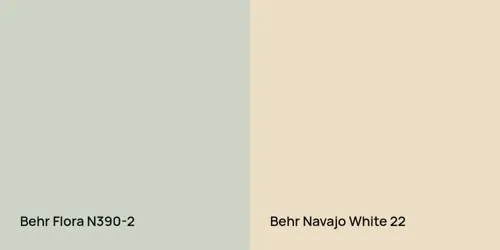 N390-2 Flora vs 22 Navajo White