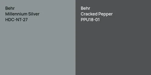 HDC-NT-27 Millennium Silver vs PPU18-01 Cracked Pepper