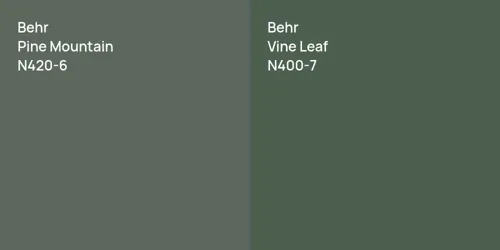 N420-6 Pine Mountain vs N400-7 Vine Leaf