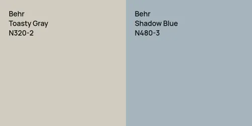 N320-2 Toasty Gray vs N480-3 Shadow Blue