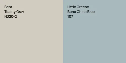 N320-2 Toasty Gray vs 107 Bone China Blue