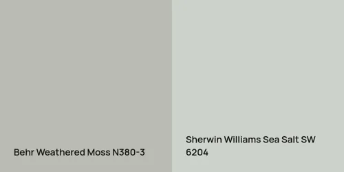 N380-3 Weathered Moss vs SW 6204 Sea Salt