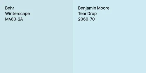 M480-2A Winterscape vs 2060-70 Tear Drop