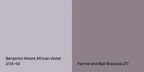 2116-50 African Violet vs 271 Brassica