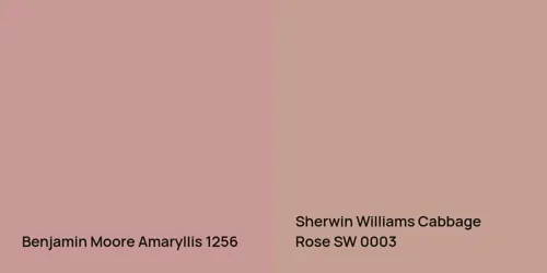 1256 Amaryllis vs SW 0003 Cabbage Rose