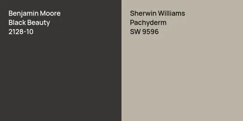 2128-10 Black Beauty vs SW 9596 Pachyderm