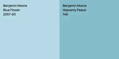 2057-60 Blue Flower vs 746 Heavenly Peace