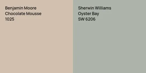 1025 Chocolate Mousse vs SW 6206 Oyster Bay