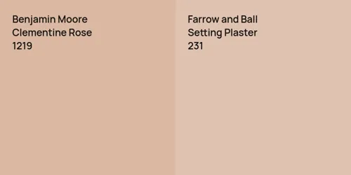 1219 Clementine Rose vs 231 Setting Plaster