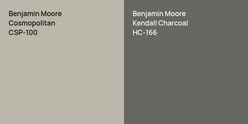 CSP-100 Cosmopolitan vs HC-166 Kendall Charcoal