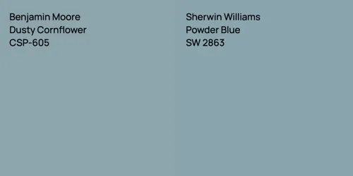 CSP-605 Dusty Cornflower vs SW 2863 Powder Blue