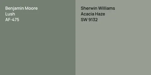 AF-475 Lush vs SW 9132 Acacia Haze