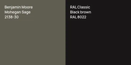 2138-30 Mohegan Sage vs RAL 8022  Black brown