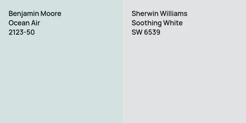 2123-50 Ocean Air vs SW 6539 Soothing White