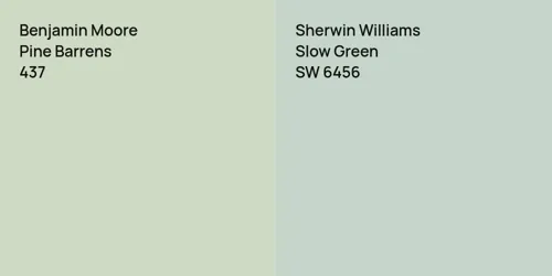 437 Pine Barrens vs SW 6456 Slow Green