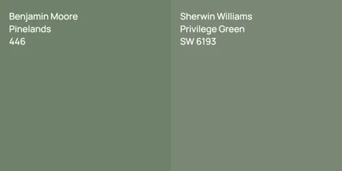 446 Pinelands vs SW 6193 Privilege Green